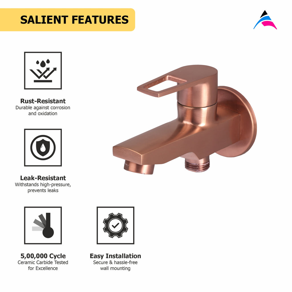 Asiatique S/L 2 in 1 Bib Cock With Wall Flange (BRG-015 S/L M), Button & Plate, Bronze Brush Rose Gold Series Bathroom & Kitchen Faucets