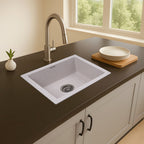 Asiatique Single Bowl Quartz Kitchen Sink (D103- ARENA), Granite Finish, 304 Grade SS coupling, Slop Drain, Noise Reduction Design | 21 x 18 x 9 inches