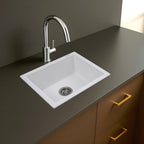 Asiatique Single Bowl Quartz Kitchen Sink (D103- ARENA), Granite Finish, 304 Grade SS coupling, Slop Drain, Noise Reduction Design | 21 x 18 x 9 inches