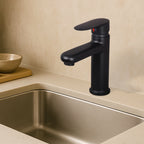 Asiatique S/L Basin Mixer with Braided Hoses | Orient Brush Black Series | OB-009M