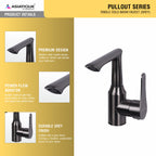 Asiatique X-012 Single Cold Basin Faucet Grey | Modern Single Lever Basin Tap | Pull Out Series